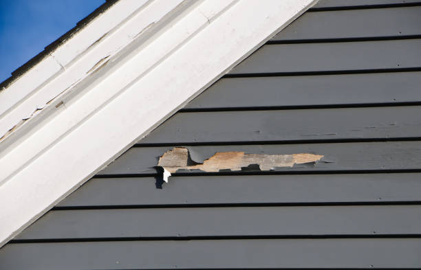 Best Fascia and Soffit Installation  in Greenfield, WI